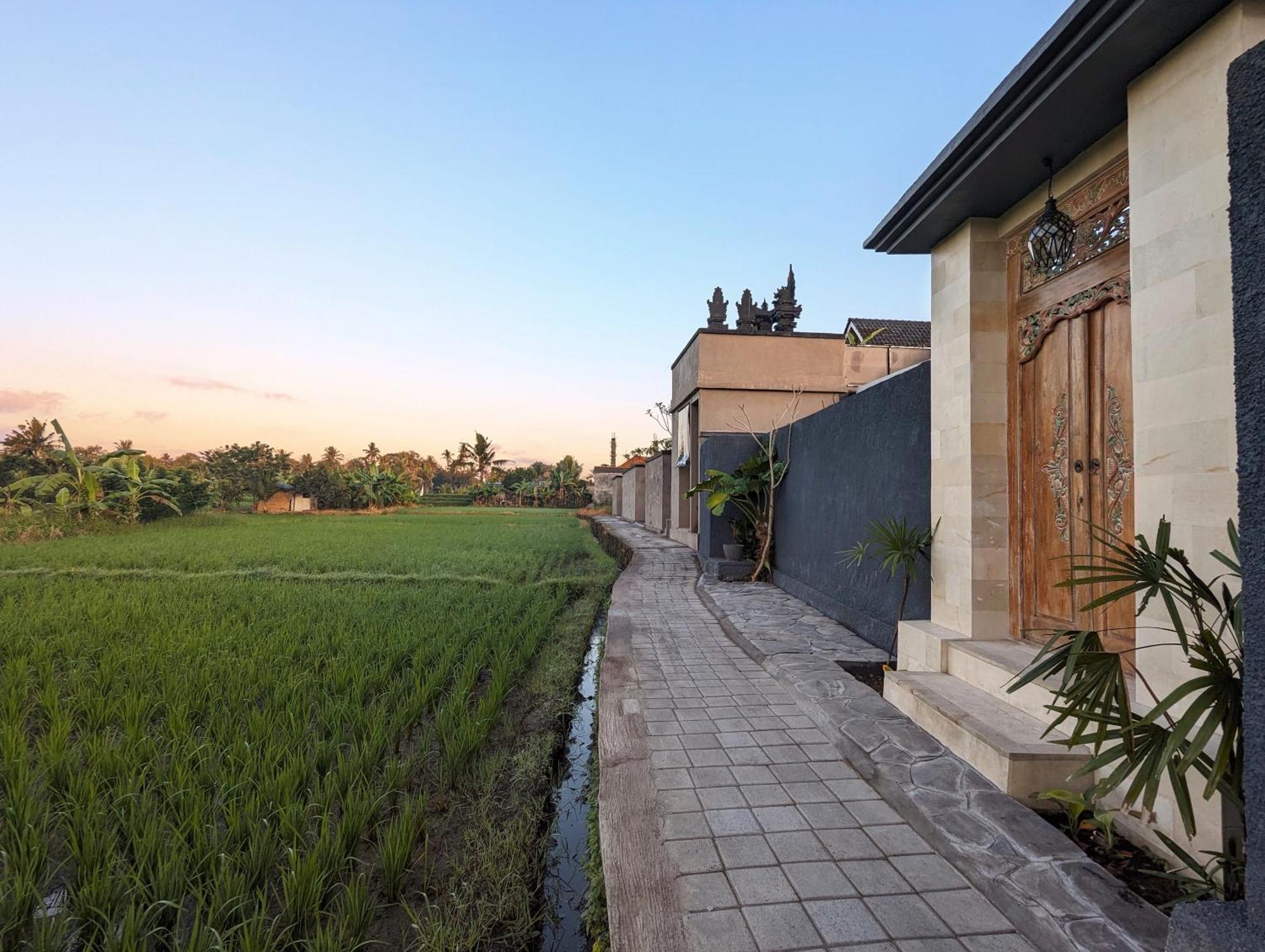 Villa Na-Na Ubud Bagian luar foto
